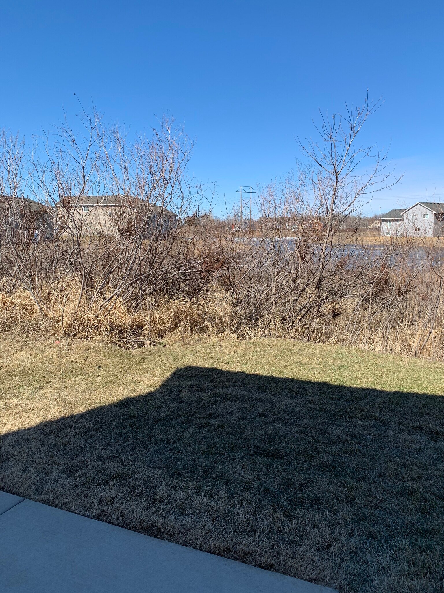 Beautiful View Of Wetlands Behind Home - 9167 Goodrich Dr
