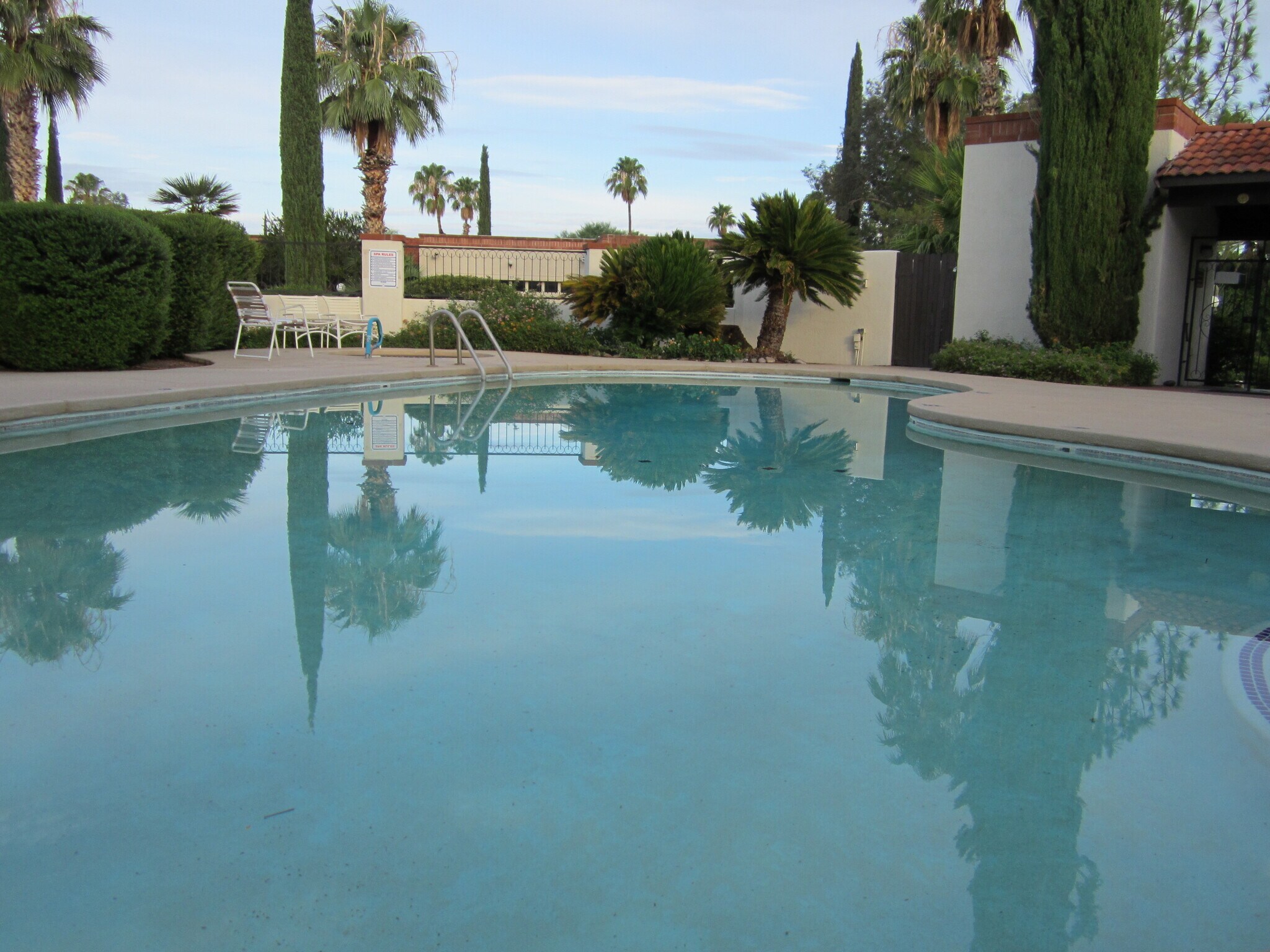 Building Photo - 859 W Palma de Coco