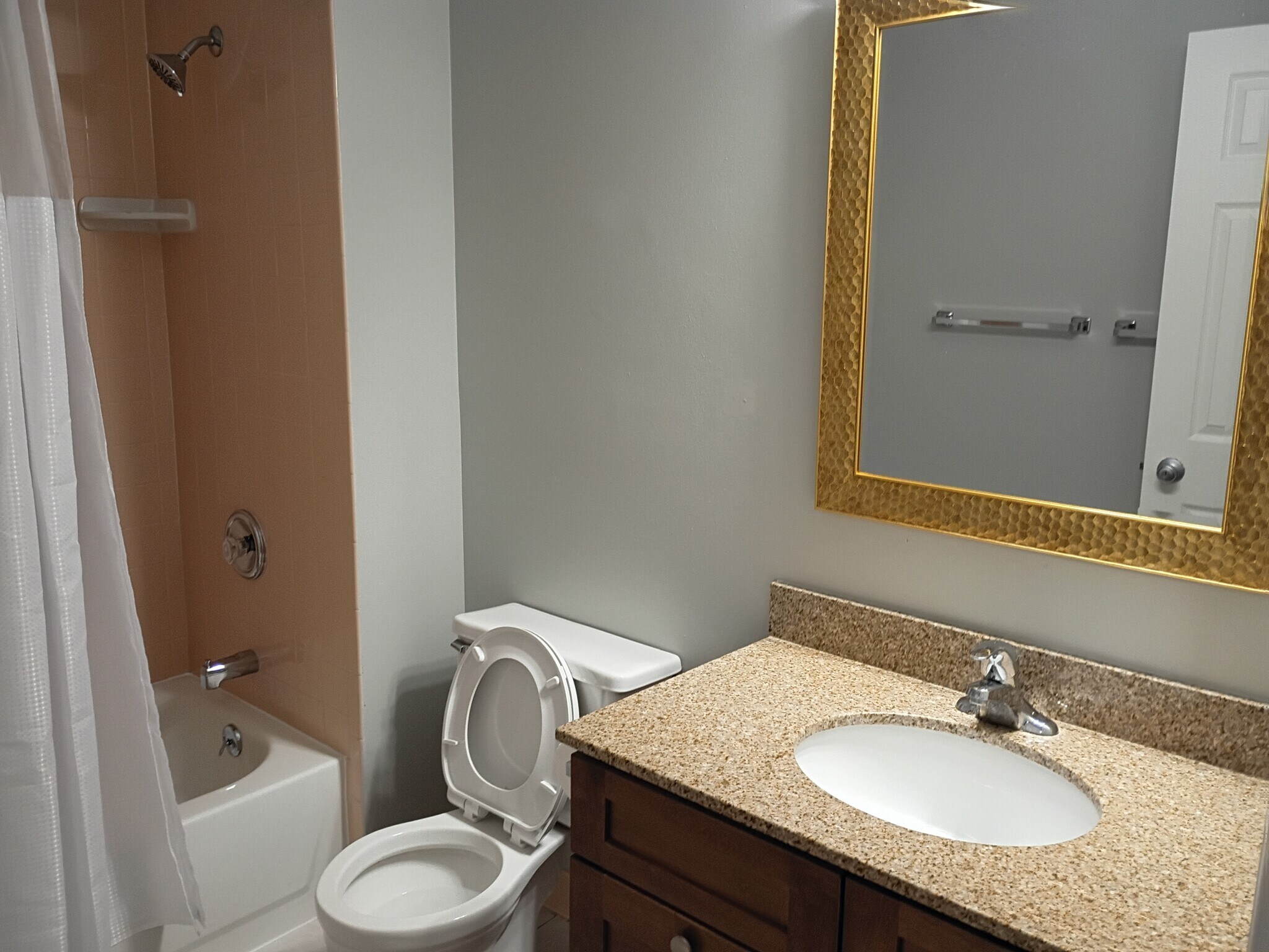 Bathroom - 917 Madison St
