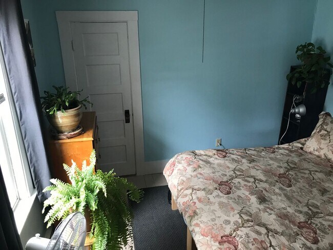 Building Photo - Paluska