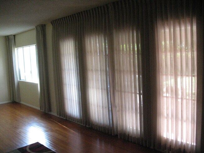 Clean curtains in living room - 3121 W Wyoming Ave