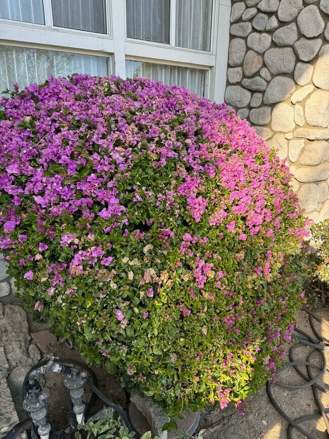 Building Photo - Stunning Single-Story Granada Hills Pool Home | 3 Bed | 2 Bath | 2,500 Sq Ft