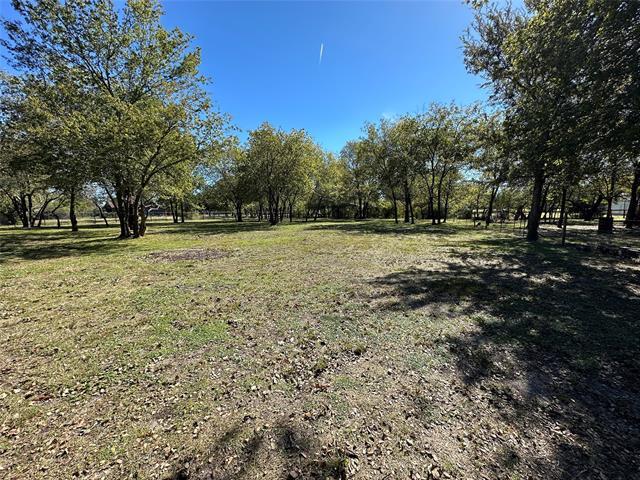 Building Photo - 1924 Countryside Dr