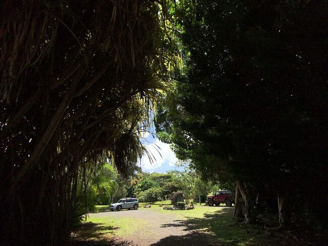 Building Photo - A Modernist Tropical Haven on Maui’s North...