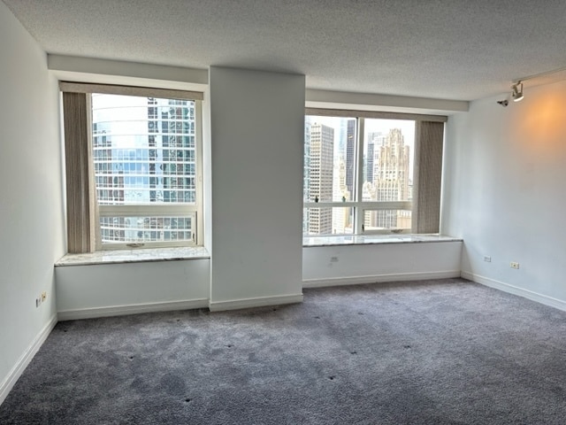 Building Photo - 512 N McClurg Ct