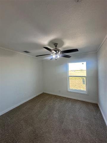 Building Photo - 211 Alton Ln