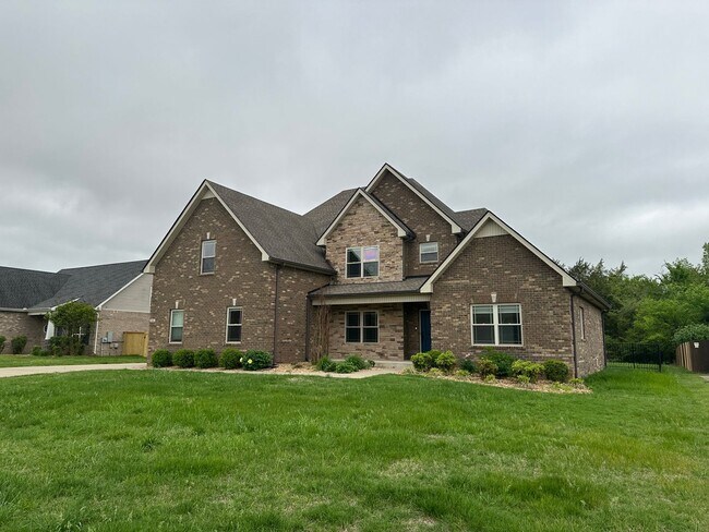 Building Photo - 514 Sapphire Dr