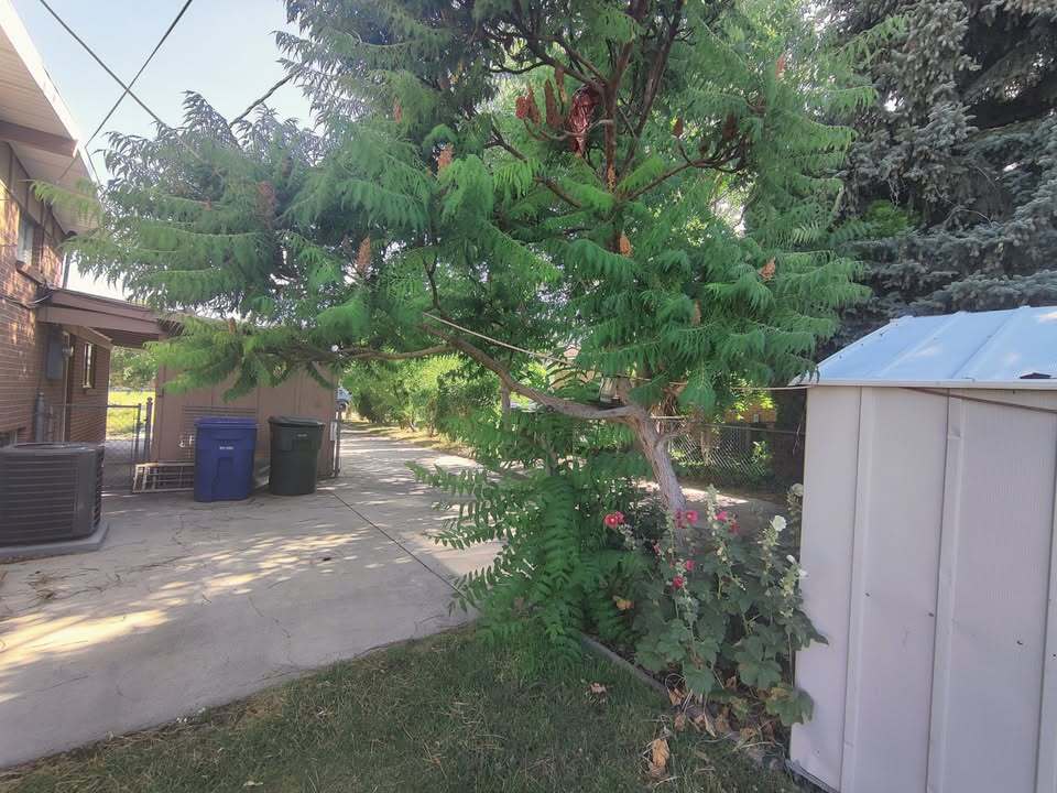 Building Photo - 4226 W 4495 S