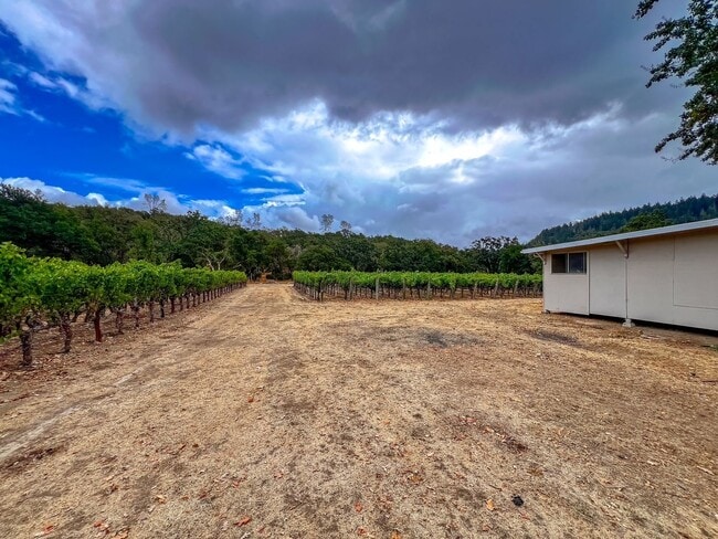 Building Photo - Three Bedroom St. Helena Home with Stunnin...
