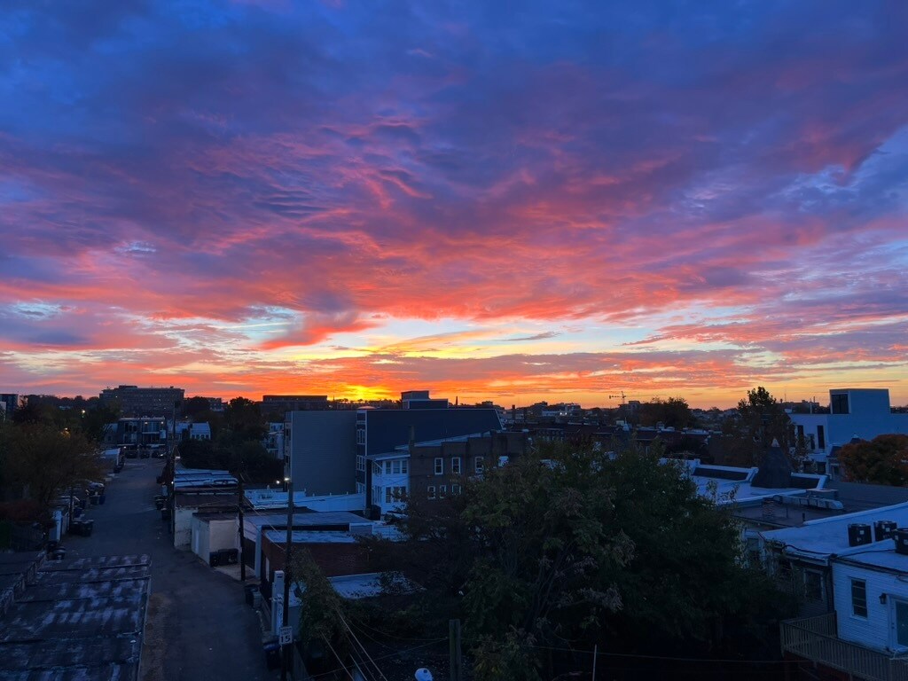 Stunning view of the sunrise from the back porch, overlooking Columbia Heights. - 3821 14th St NW