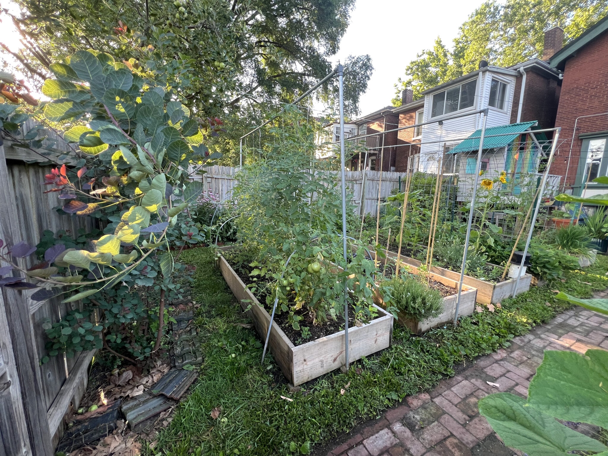Garden - 3817 Lafayette Ave