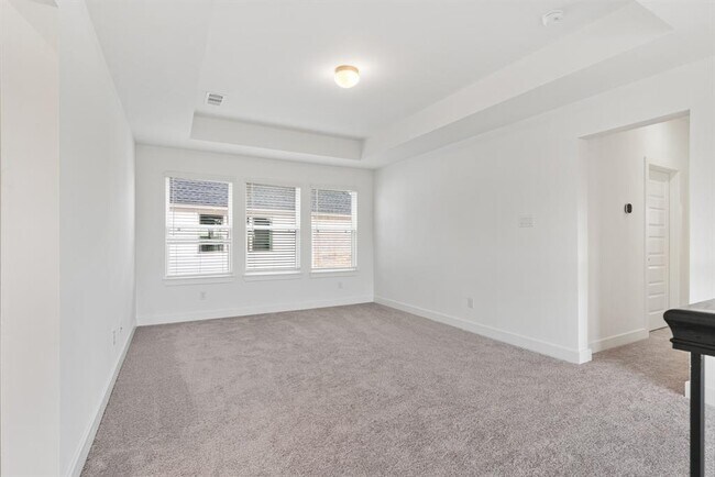 Building Photo - 203 Shining Succulent Dr