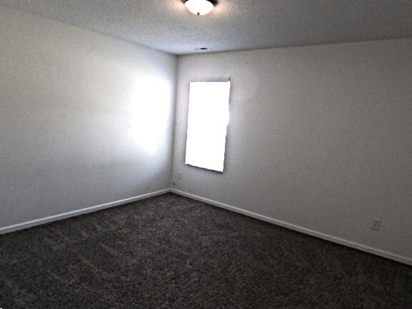 Building Photo - 113 Dabney Ridge Pl