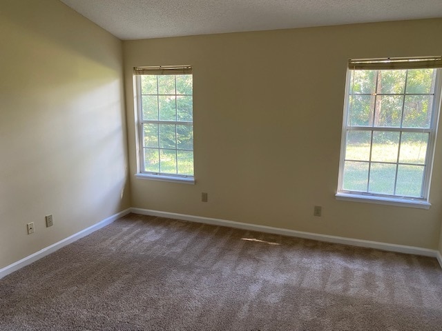 Building Photo - 4636 Sunbeam Station Ct