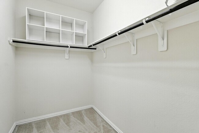 Building Photo - 1627 Northwood Springs Dr