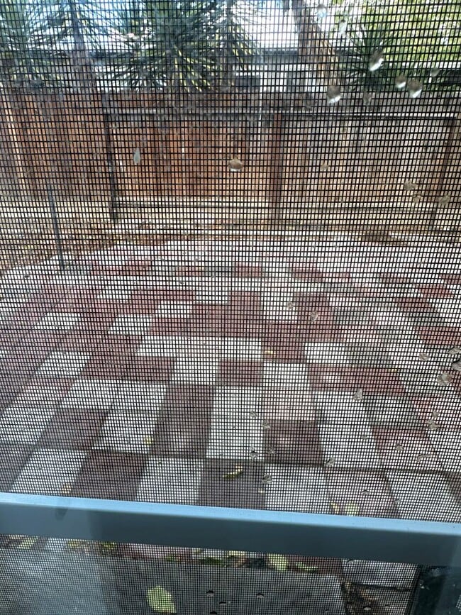 Building Photo - BEAUTIFUL DUPLEX