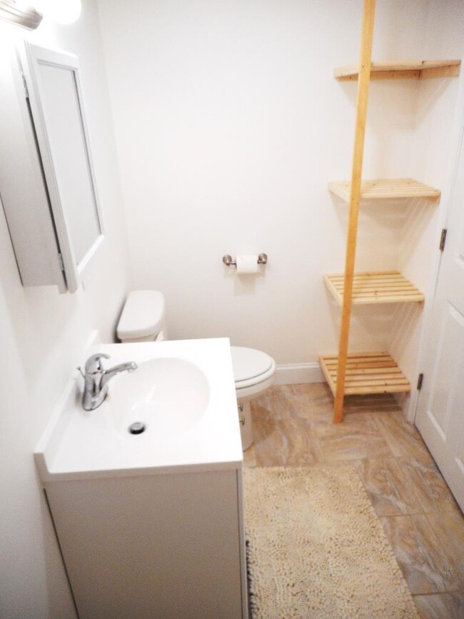 bathroom/shelves - 157 Hamilton St