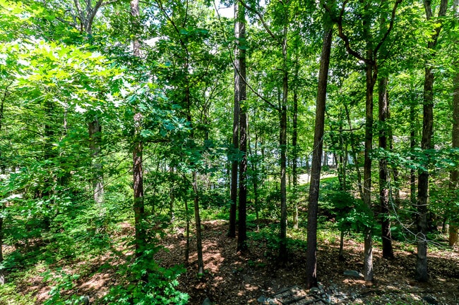 Building Photo - Beautiful 3 bedroom, 3 bath,  mother-in-law sweet with full kitchen in lower level.