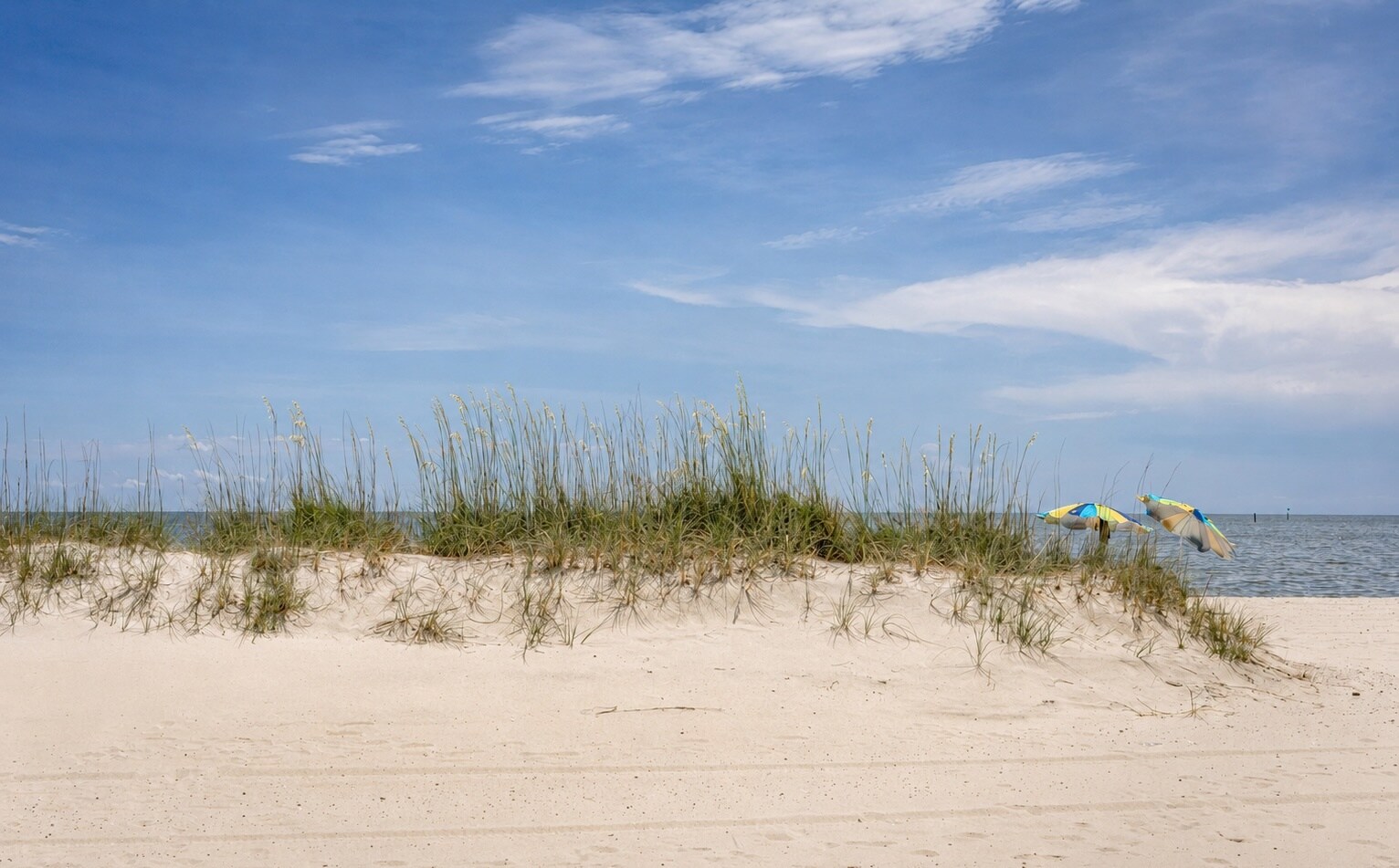 Building Photo - 1282 Beach Blvd