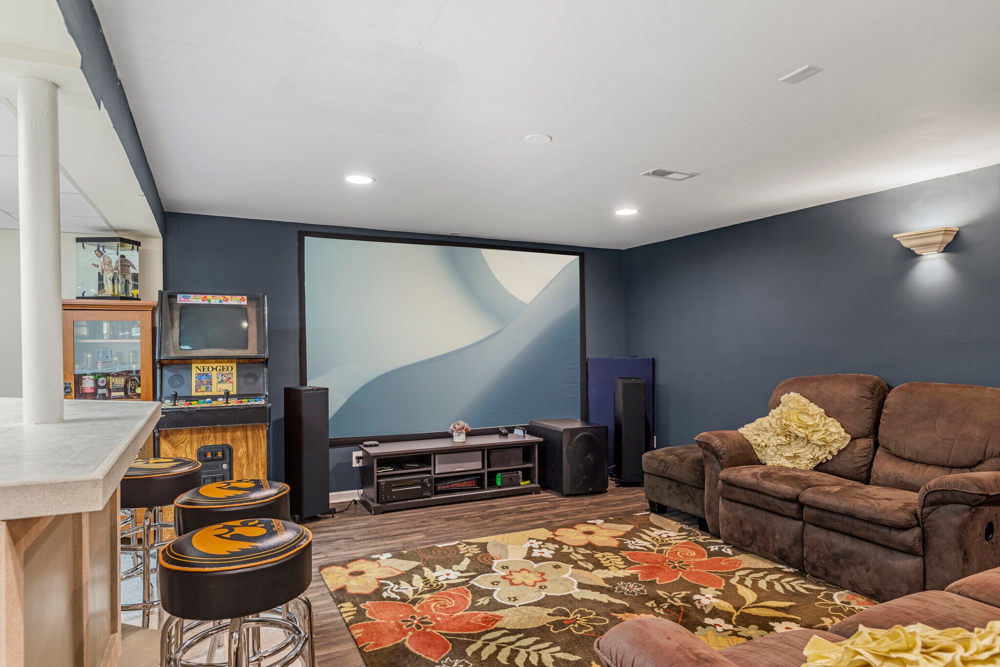 theater - 31696 N Borre Dr