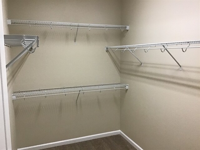 Building Photo - 305 Pine Arbor Cir