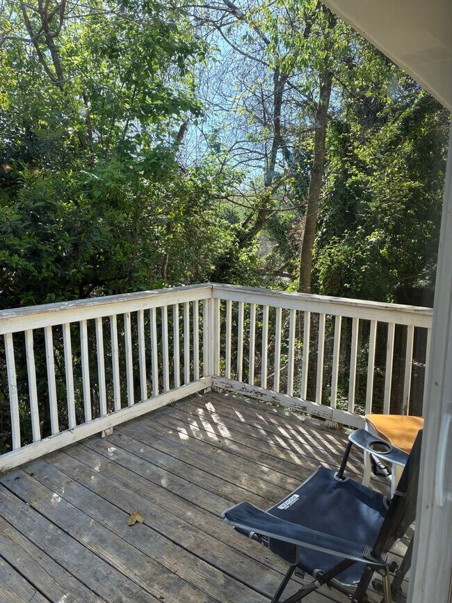 Building Photo - 3 bedroom 2 bathroom near St. Mary's Hospital