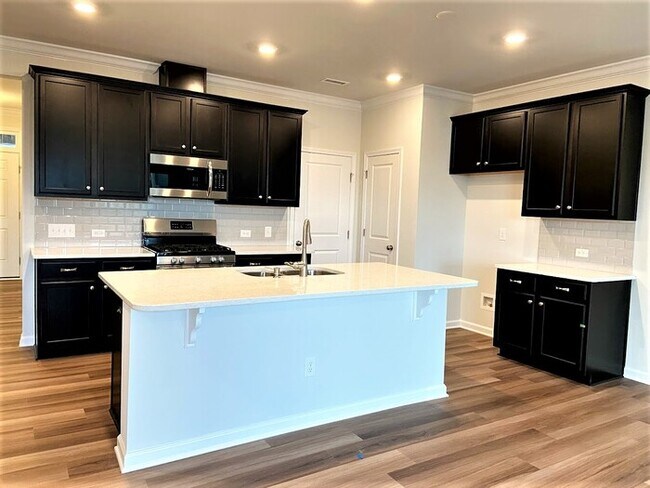 Building Photo - Brand New 3 bedroom Townhome for Rent