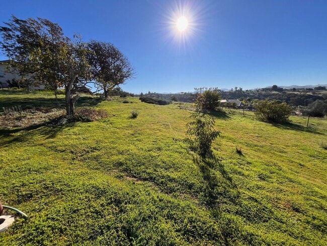 Building Photo - Spectacular Retro Home in a Rural Setting with Views and Space