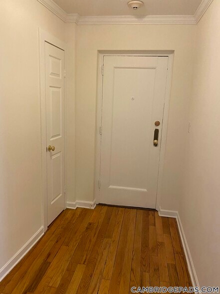 Building Photo - 60 Brattle St