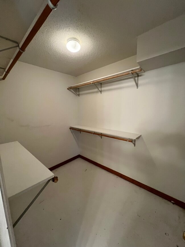 Building Photo - 713 Willow Oak Ln