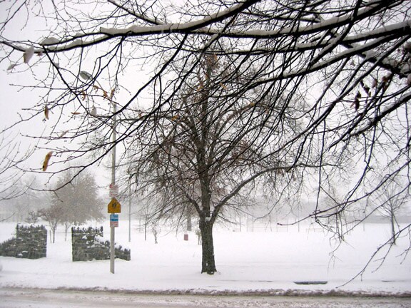 Building Photo - 2744 E Baltimore St