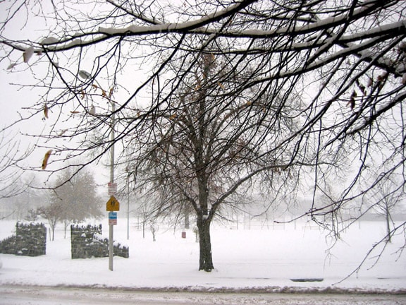 Building Photo - 2744 E Baltimore St