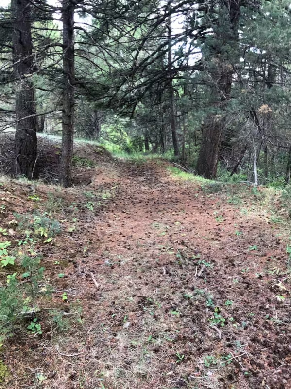 Building Photo - 60 Log Cabin Ln