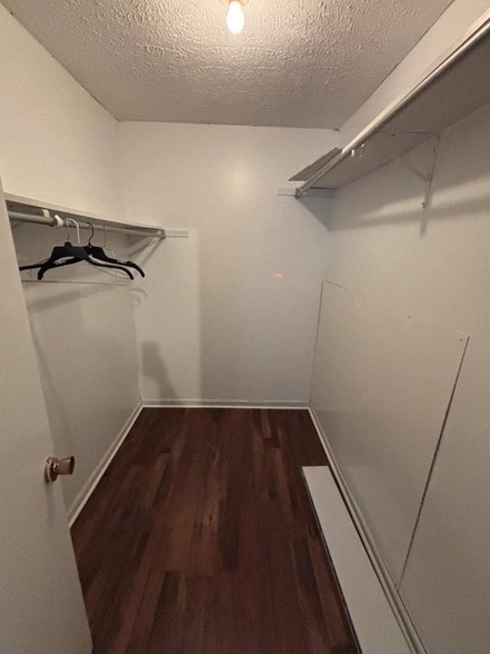 Building Photo - 709 Chert Ln