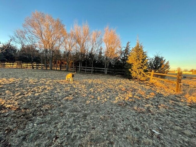 Building Photo - 5 Acre Ranch 3bed/2bth home with amazing v...
