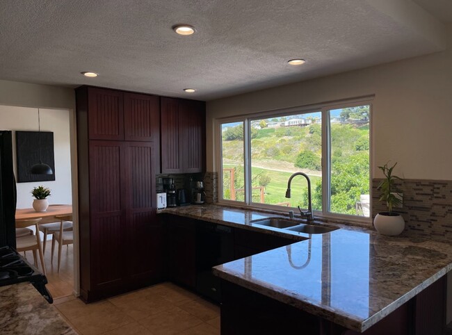 Kitchen views - 822 Camino de los Mares