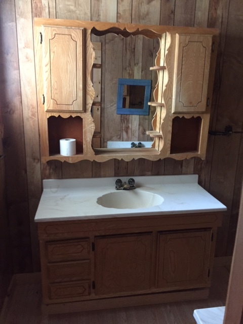 Downstairs bathroom - 500 N Salisbury St