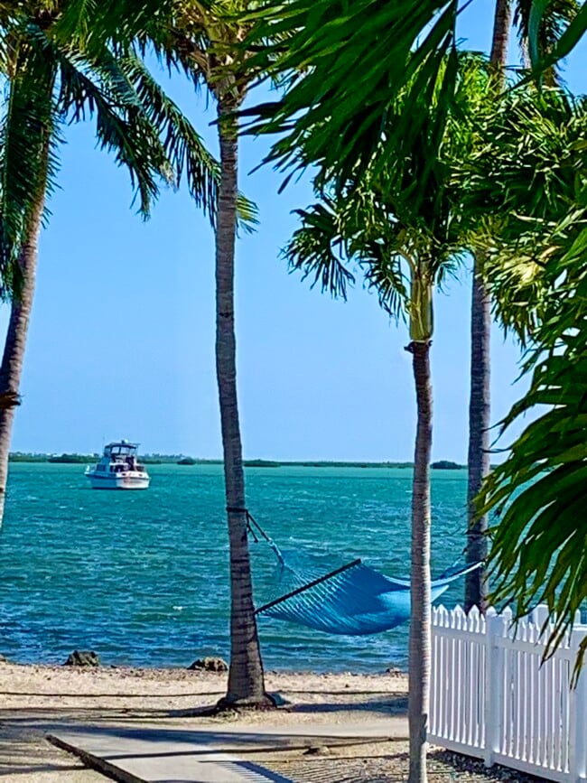 Building Photo - 55 Boca Chica Rd