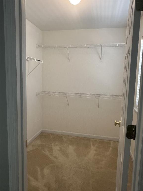 Building Photo - 208 Madison Park Dr