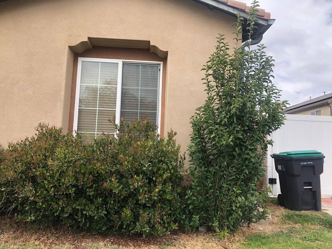 Building Photo - 13534 Potter Creek Dr