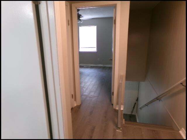 Building Photo - 101 Ellis Dr