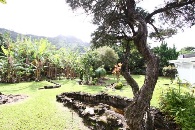 Building Photo - 3509 Akaka Pl