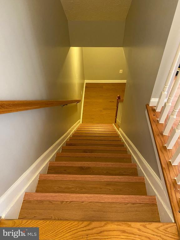 Building Photo - 3282 Halcyon Ct