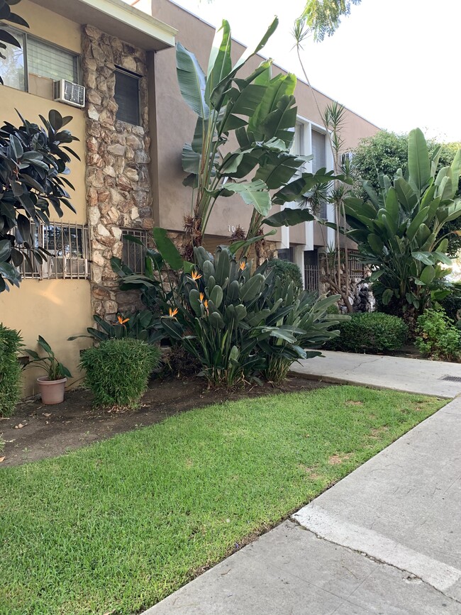 Primary Photo - 1035 N Edinburgh Ave