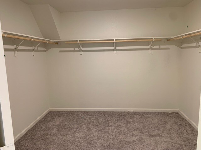 Building Photo - 717 Bois D'Arc Ln