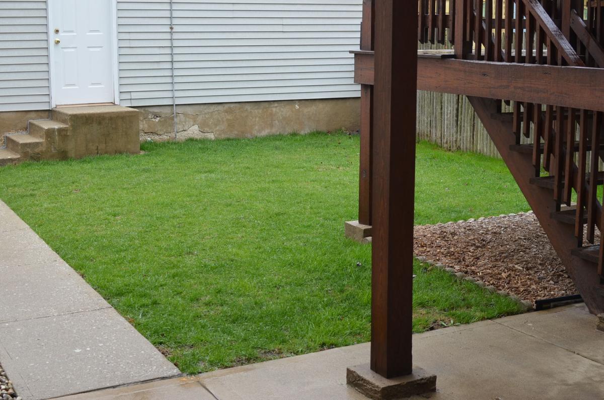 Backyard - 1827 N Marshfield Ave