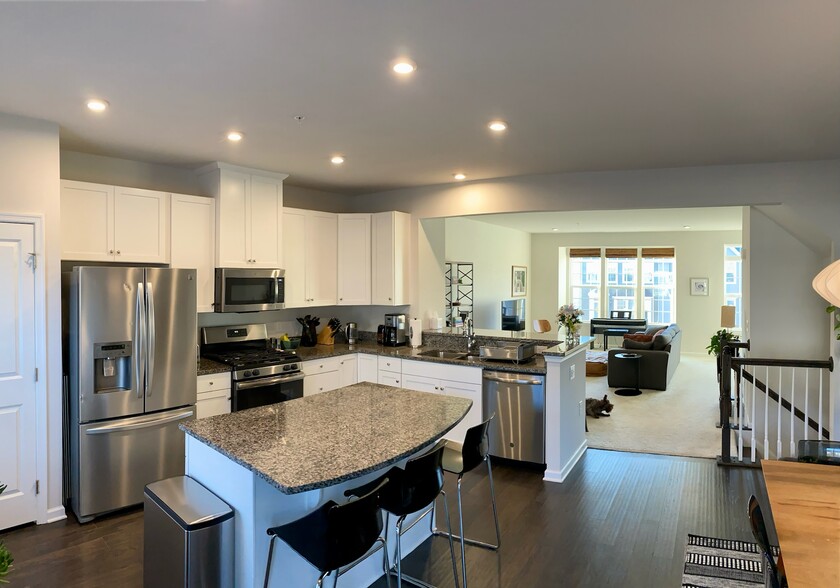 Kitchen/Living - 247 Madison Ln