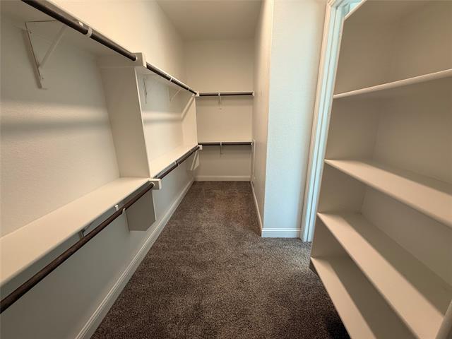 Building Photo - 2113 Caroline St