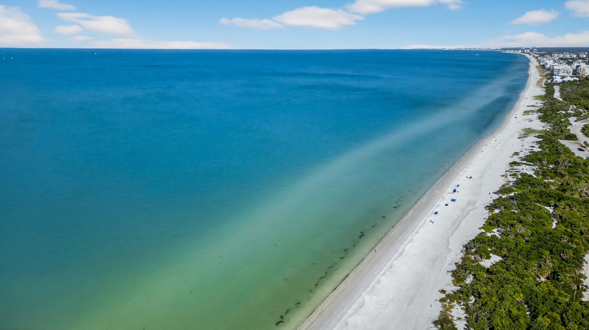 Gulf front 40 acre property - 1001 Arbor Lake Dr