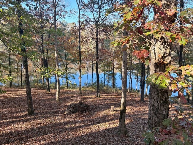 Building Photo - 1 Bedroom, 1 bath House